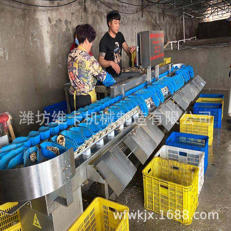 海鲜小龙分选机全自动海参虾鲍KPM鱼分拣盒机级料式选果机重量分,畜牧/养殖物资,特种养殖设备,淘宝优惠券,粉丝福利购,淘宝优惠卷