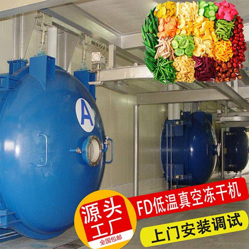 冻干玉米粒设备生产线 生物制品全自动红薯粒真空低温冻干机厂家