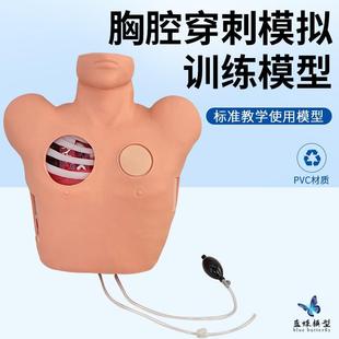 胸腔闭式引流模型 胸腔穿刺训练模型 胸腔创伤后气胸引流处理模型