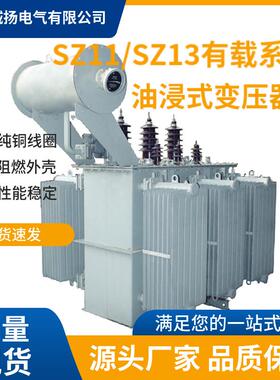SK20M-160/10/0压.4BSJKV油式变压器160W油变价格-变器快速报介