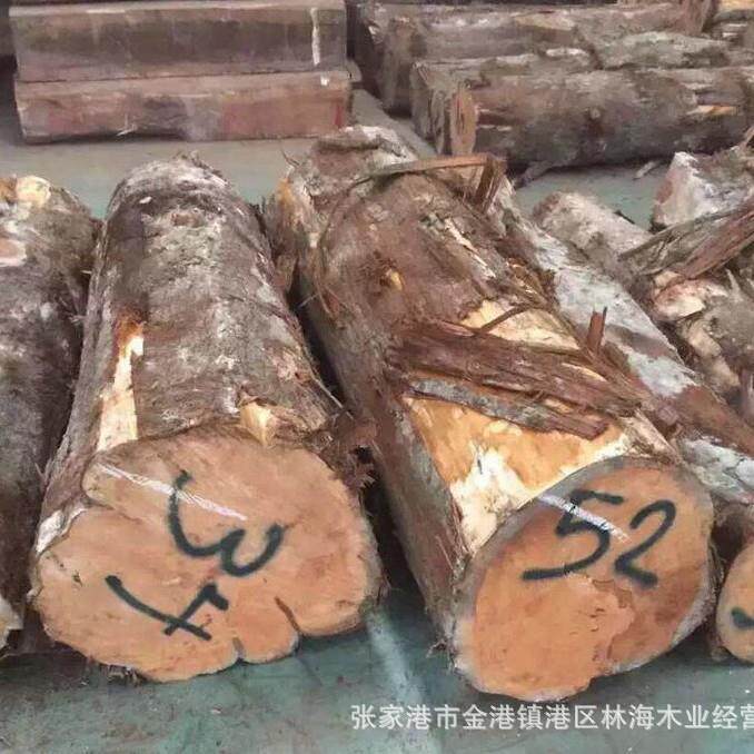 张家港林海香木柏家具用香原木进口室内防装YVD饰柏木原木腐木原
