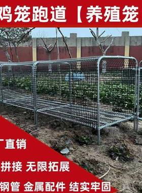 兔铁农网鸡笼OYK笼跑道养鸡隧道笼子农场户外溜达鸡用笼子庭院家