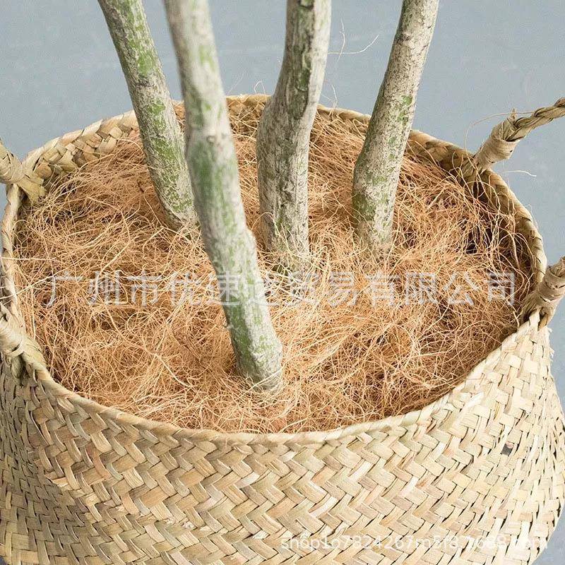 椰棕丝园艺花盆表面覆盖铺面植物土壤遮盖爬虫垫料花盆多肉铺面