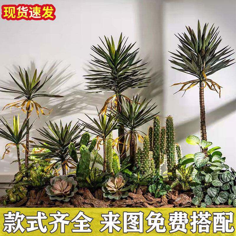 仿真龙舌兰盆栽热带植物室内绿植水池景观造景龙血树落地装饰摆件
