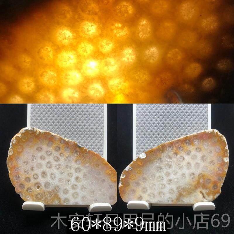 正品印尼原矿天然珊瑚原石玉矿料摆件菊玉石手把花件饰饰品片装料