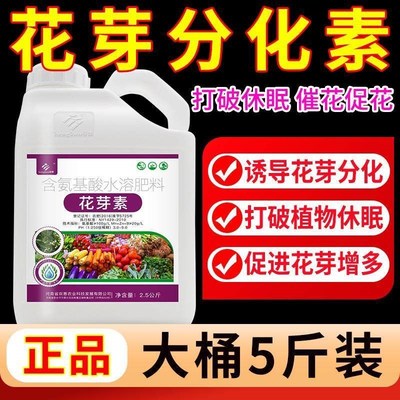 花芽分化素分化宝促进花芽分化诱导素分化剂促花催花座果灵叶面肥