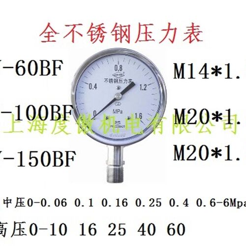 全不锈钢压力表Y-100BF 0-060Mpa