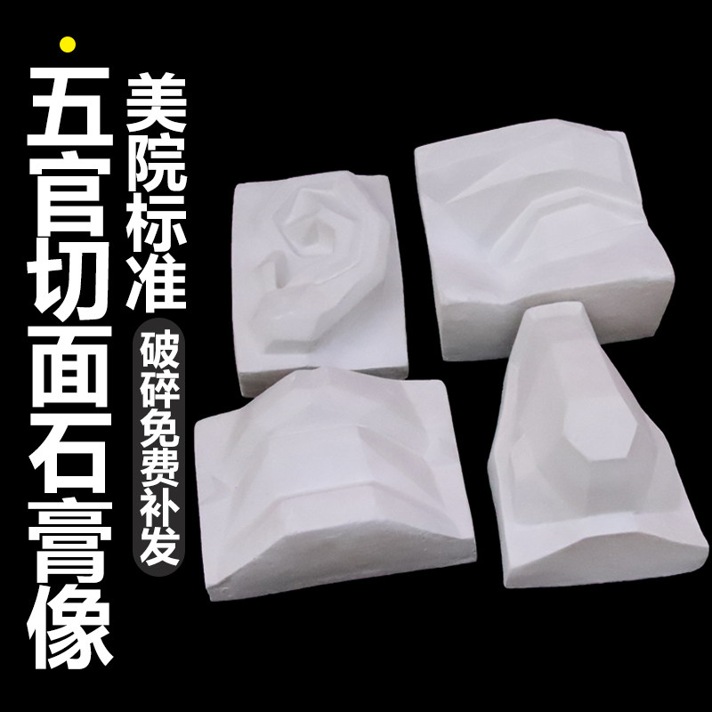 五官切面石膏像五官实面摆件石膏美术教具素描绘画美术静物石膏像