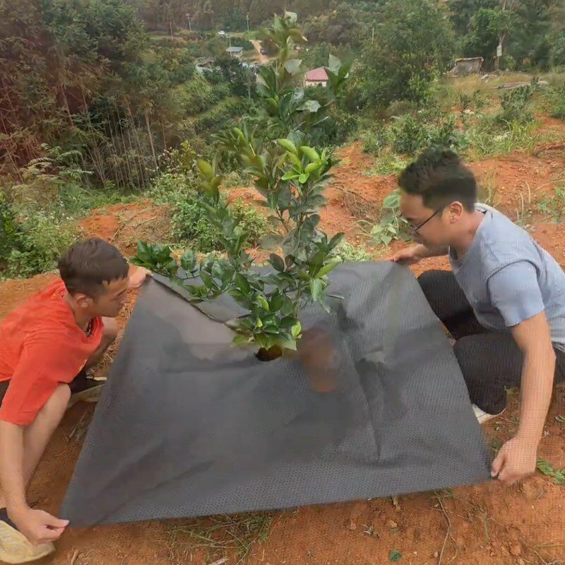 防草布除草农用果园地布果树打孔盖草布黑地膜遮草地布耐用生态