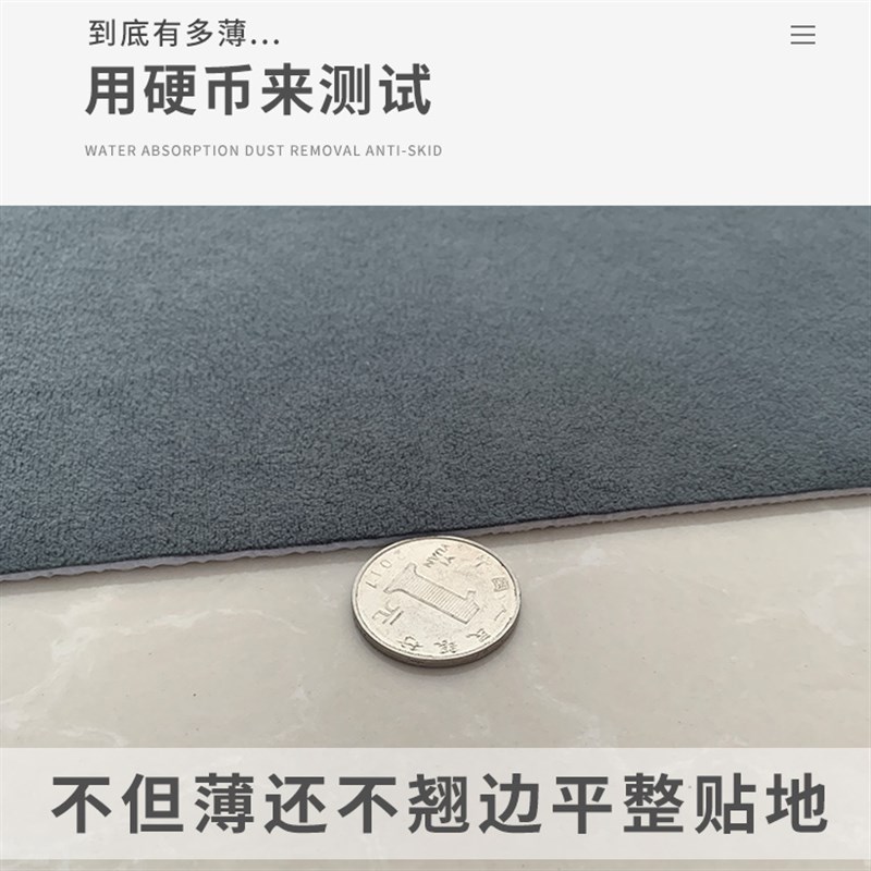 超薄2mm入户门玄关地垫可裁剪水洗家用客厅进门门口垫子1mm薄地毯