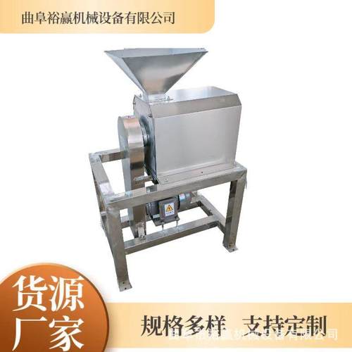 大型生姜破碎打汁机 芒果樱桃红枣打浆机 多功能渣浆分离机