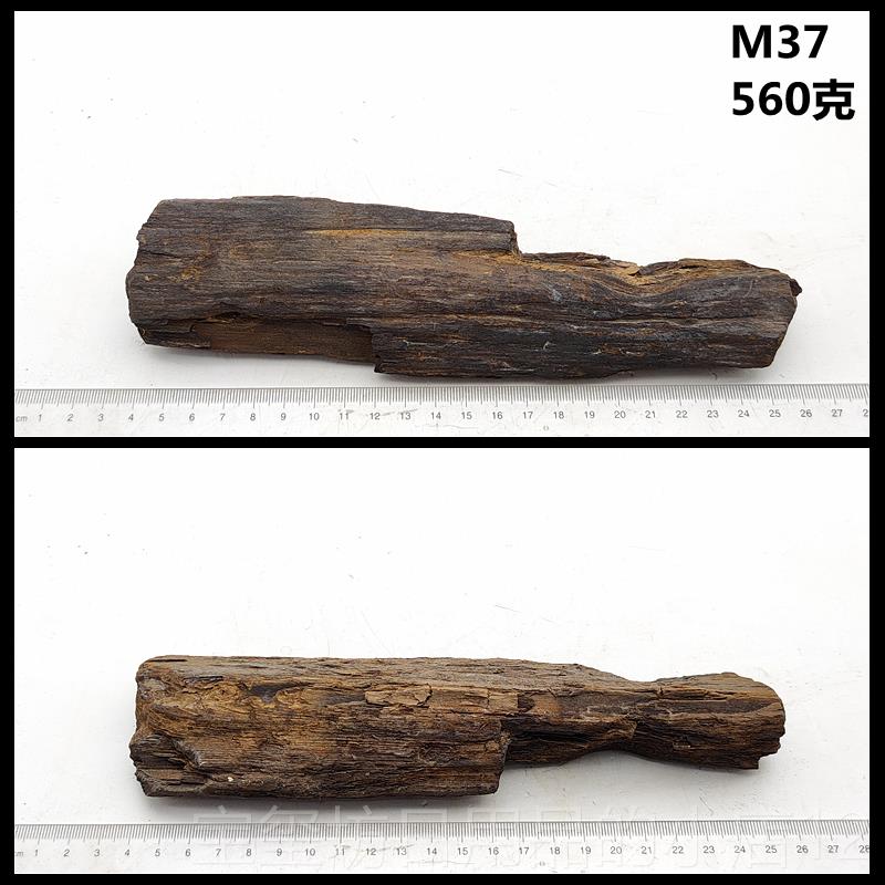 高档黑龙木化石冰时期天然树化玉硅河化木石摆江件观赏原石标本礼