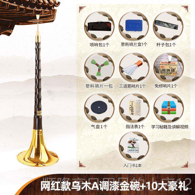 高档王家彪网红乌木呐乐初学全套民族喇器叭d者调降B调唢考入门专