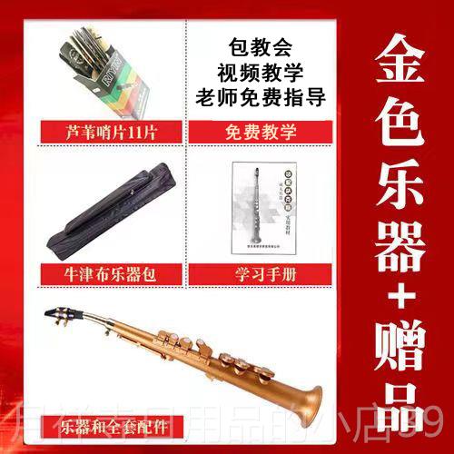 高档萨克风斯E调降B调中音易型简入门初学者成人西洋管乐降器