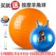 高档宝宝教瑜伽球加防爆正品 龙珠儿童早感官训厚练球宝宝练平训衡