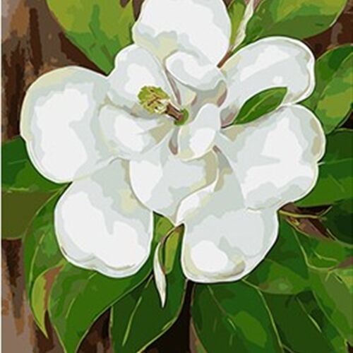 数字油画diy 手绘客厅花卉手工手绘油彩装饰画 纯洁茉莉花