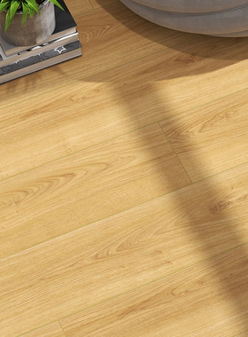 补贴至高15%圣象强化复合木地板ENF环保家用抗菌锁扣木地板 N0621