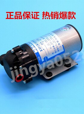 上海新西山微型高压隔膜泵DP-130 水泵RO泵 自吸泵 直流泵12V24V