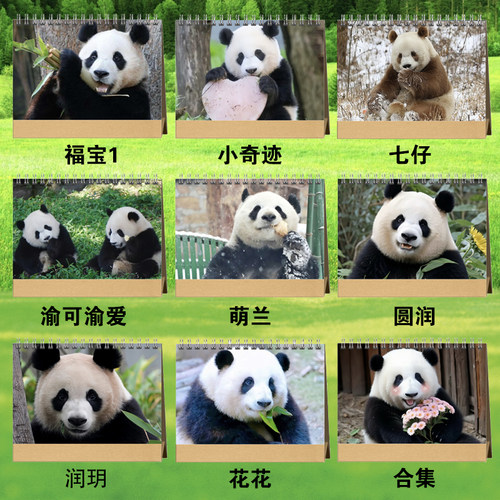 大熊猫萌兰福宝渝可渝爱圆润玥小奇迹2024年双面台历挂历日历定制