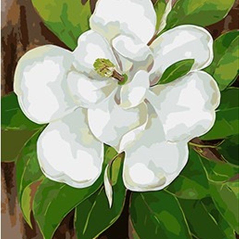 数字油画diy 手绘客厅花卉手工手绘油彩装饰画 纯洁茉莉花