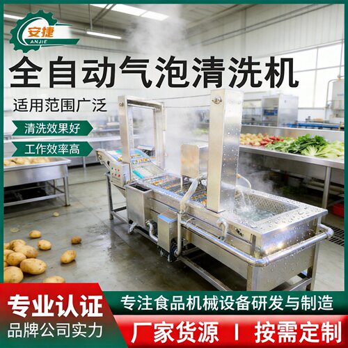 全自动果蔬气泡清洗机 喷淋土豆气泡清洗机 不锈钢叶菜大枣清洗线