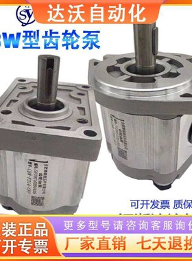 合肥赛源齿轮泵CBW-F306 310 314 316 304 E320-CFP ALP CLP ALH