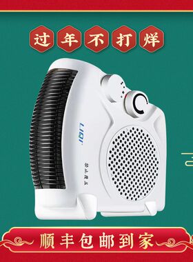 FH-06A立奇取暖器暖风机电暖风家用省电迷你浴室电暖器电热气器