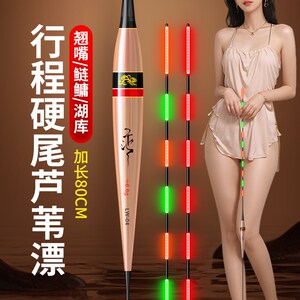 乐池80cm超长行程芦苇浮漂黑坑日夜两用硬尾青草翘嘴鲢鳙夜光鱼漂