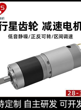 立盛外径28mm直流行星有刷减速电机 正反转调速395高速马达12V24V