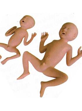 高级24 周早产儿模型FT331A