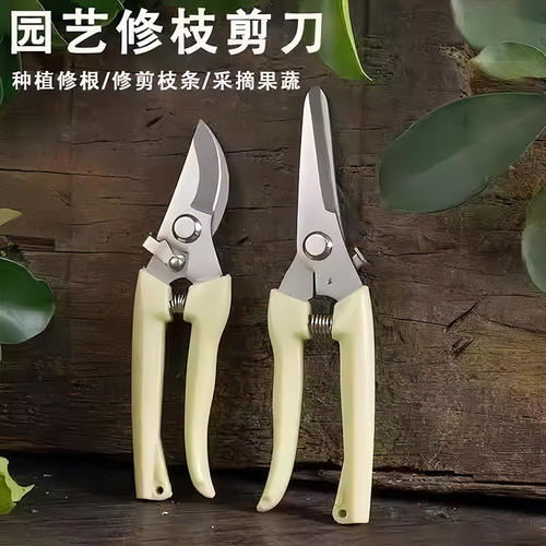 园艺剪修枝剪花林剪刀树枝果树