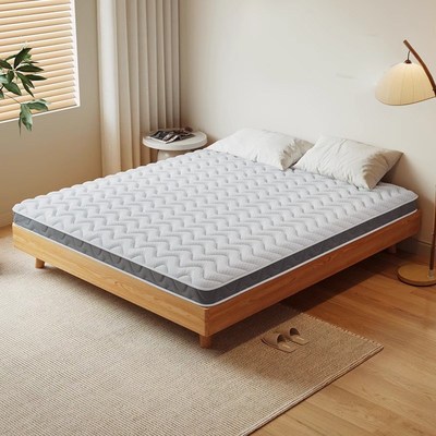 天然椰棕床垫硬垫子棕垫护腰护脊垫子棕榈加硬垫家用卧室乳胶床垫