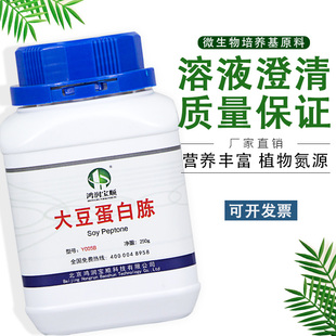 酵母浸膏胰蛋白胨生物试剂 牛骨蛋白胨 大豆蛋白胨Y005B 蛋白胨