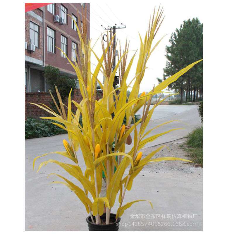 仿真玉米叶秋色玉米棒子假农作植物假树叶工程博物馆布景拍摄