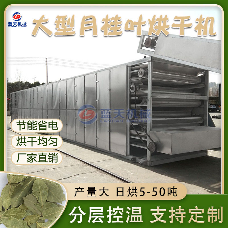 网带月桂叶烘干机 全自动白木香叶香料脱水烘干设备 天竺桂干燥机