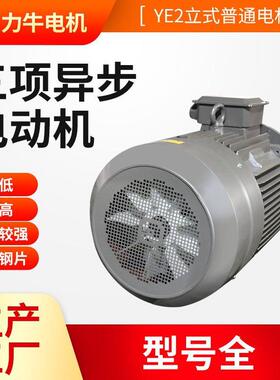 现货库存立式卧式三相异步电动机380V机械设备用铜线交流电机