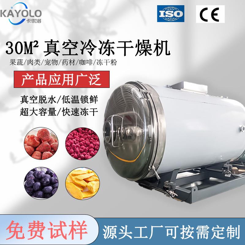 30平方小型商用一体式冻干机真空机器水果食品中草药液干燥设备
