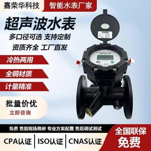 双声道超声波水表 485物联网远传大口径水计量 供水流量表