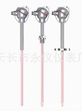 铂铑热电偶WRP-130高温刚玉管热电偶温度传感器S型B型R型厂家供应