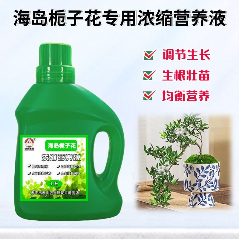 海岛栀子花专用浓缩营养液小叶盆景老桩飘水横枝造型绿植花卉肥料