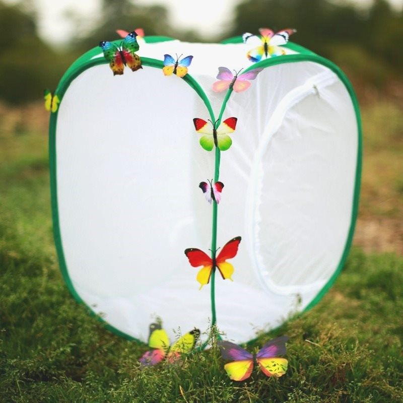 大号宠物笼折叠蝴蝶pvc笼 植物培育暖房昆虫防虫网箱爬虫饲养笼