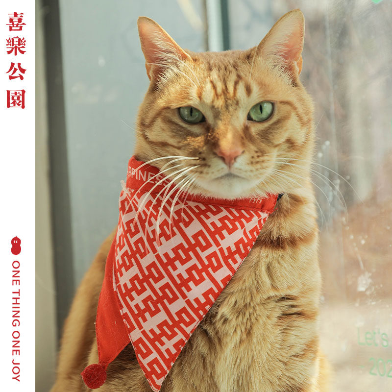 喜乐公园宠物口水巾喜字结婚装饰猫咪狗狗陪嫁可调节红色喜字围嘴