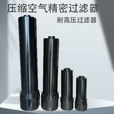 环海不锈钢高压过滤器 耐压30kg压缩空气过滤器 除菌除尘管道过滤