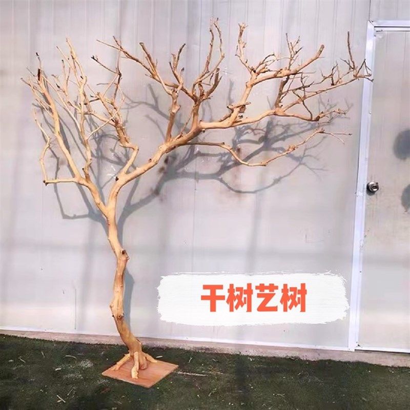 去皮干树枝造景干枝树干许愿树枯树室内造型树枝干原木树枝装饰树