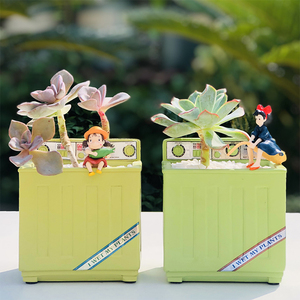 造型独特的花盆个性创意2022新款多肉小盆栽幼儿园好养宿舍桌面绿