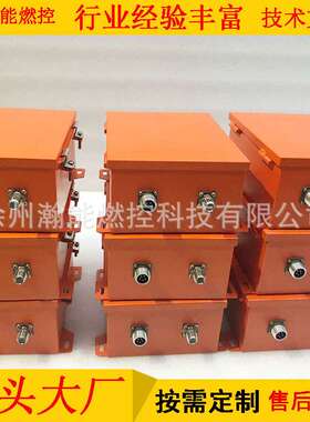 点火发生器高能点火器WKDDG-30J