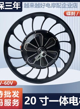 20寸电动车电机48V60V电动四轮车一体轮500W1000W观光车改装电机