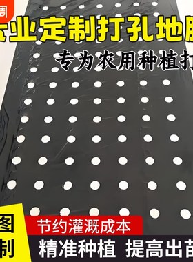 黑色打孔地膜羊肚菌透气塑料薄膜洋葱辣椒西红柿茄子豆角莴笋种植