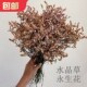 天然水晶草干花包长枝干枝梅混搭花束永生花材料包家居装 饰花大束