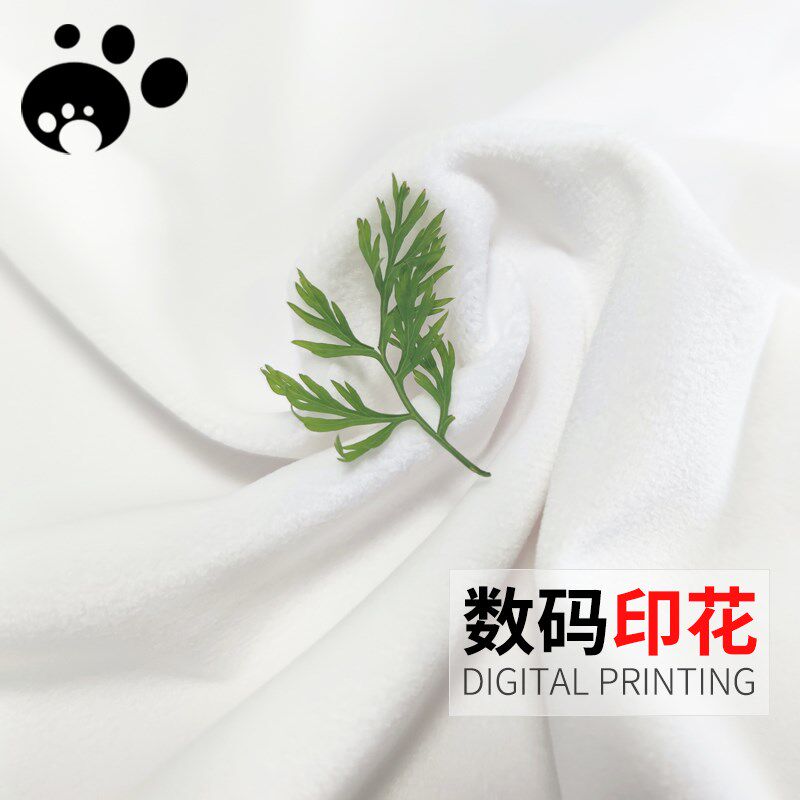 样卡237#加厚荷兰绒 丽丝绒 立丝绒 天鹅绒 沙发 抱枕布料面料